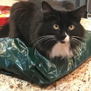 Meet your Posher, Gretel